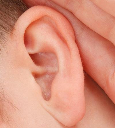 ear